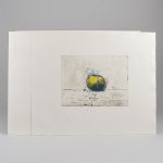 591234 Color etchings